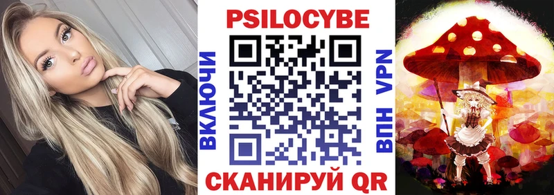 Купить где  Ростов  Псилоцибиновые грибы MAGIC MUSHROOMS 